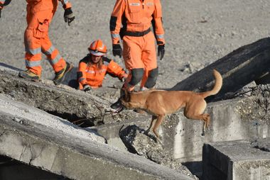 Prüfung der Hundeteams in der Verschüttetensuche - 2019